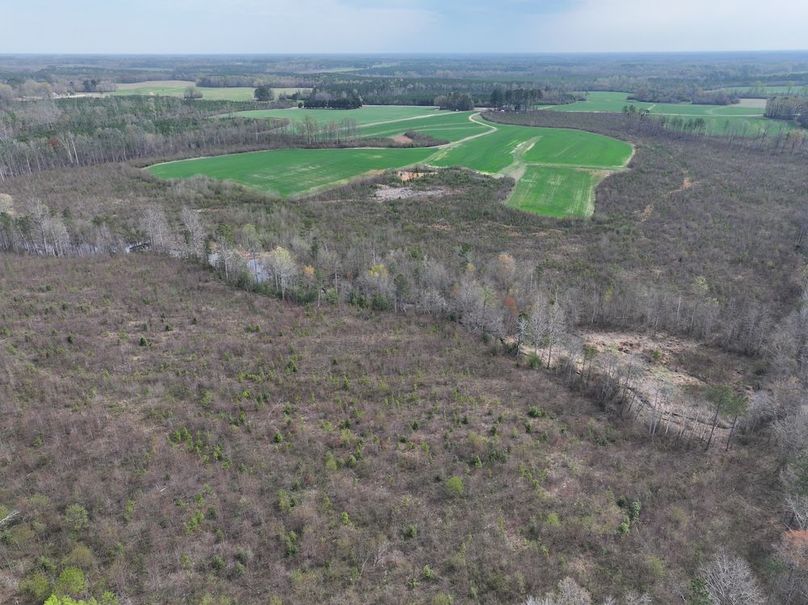 DJI_20260303062648_0514_D