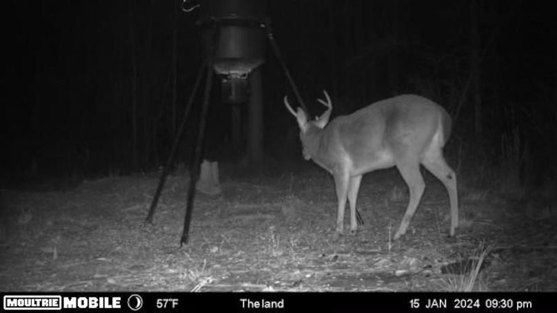 image638476372070521354