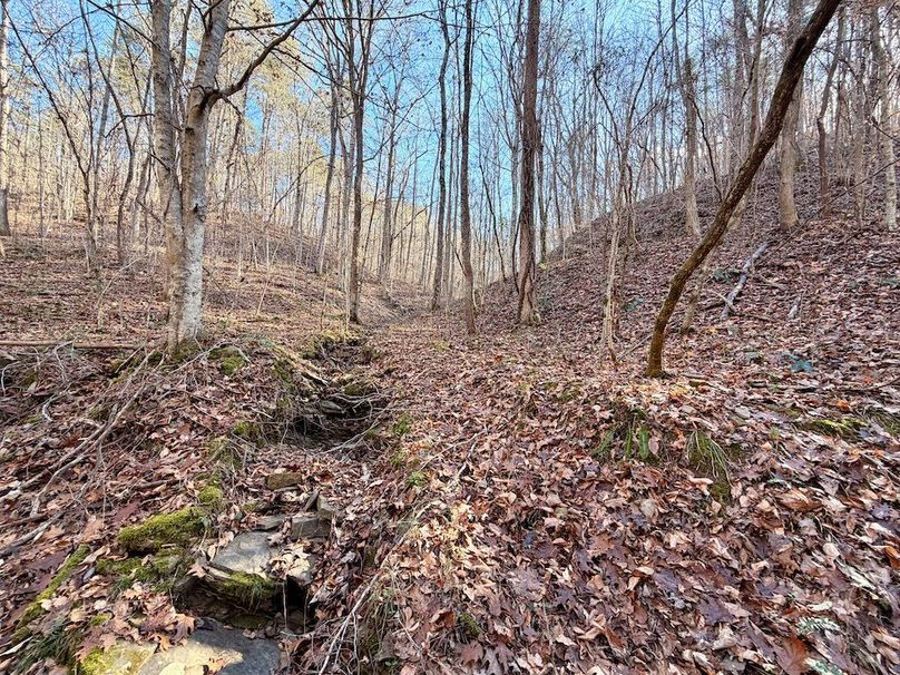 Roane Co TN 396 20251127_88