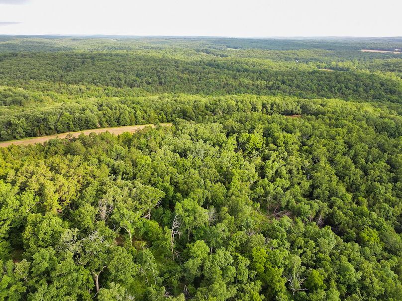DJI_20260602075248_0234_D