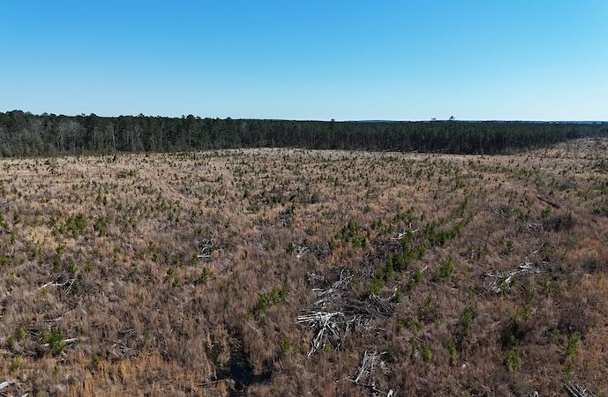 DJI_20260224040237_0402_D