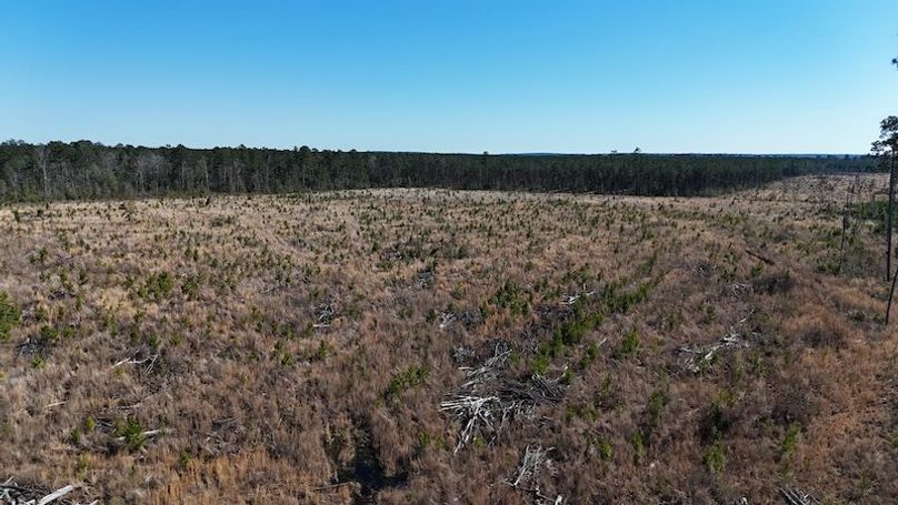 DJI_20260224040237_0402_D