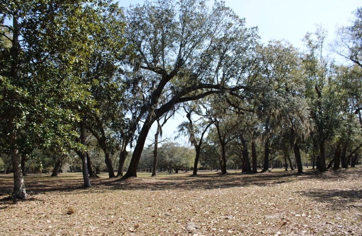 2E6E803F-0B07-4B8A-BFDE-0CB538F60732_1_105_c-2