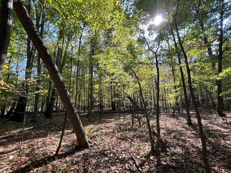 Yates_29_Stape Photo 10