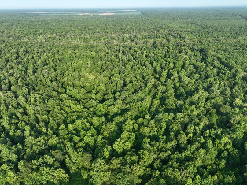 dji_fly_20230630_080624_186_1688137804453_photo