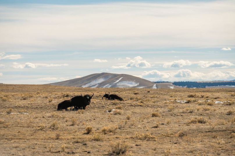 Park Co 162.85 Ladeira - 014