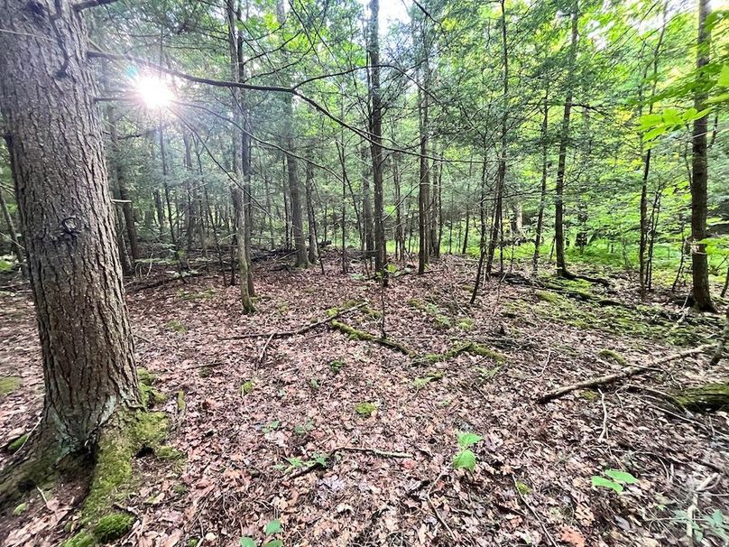 Chemung_78.26+Gutchess_Lumber_Photos_15