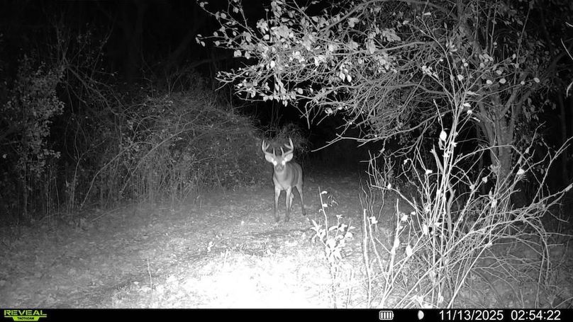 CAM 5