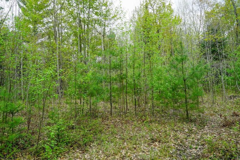 DSC00956