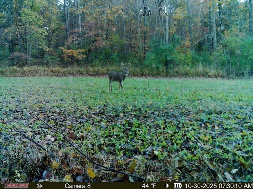 6797B914-3DBD-4C4F-9886-6FB8D9A0CCE4