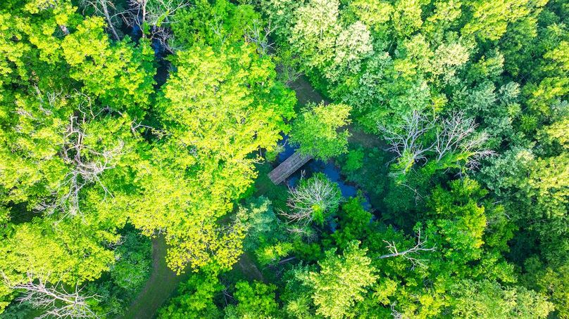 DJI_20250516060329_0029_D