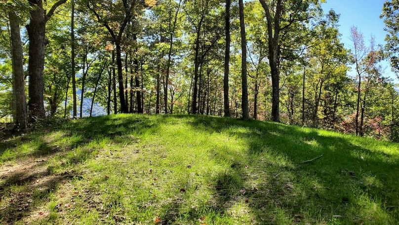 Deer & Turkey Food plots