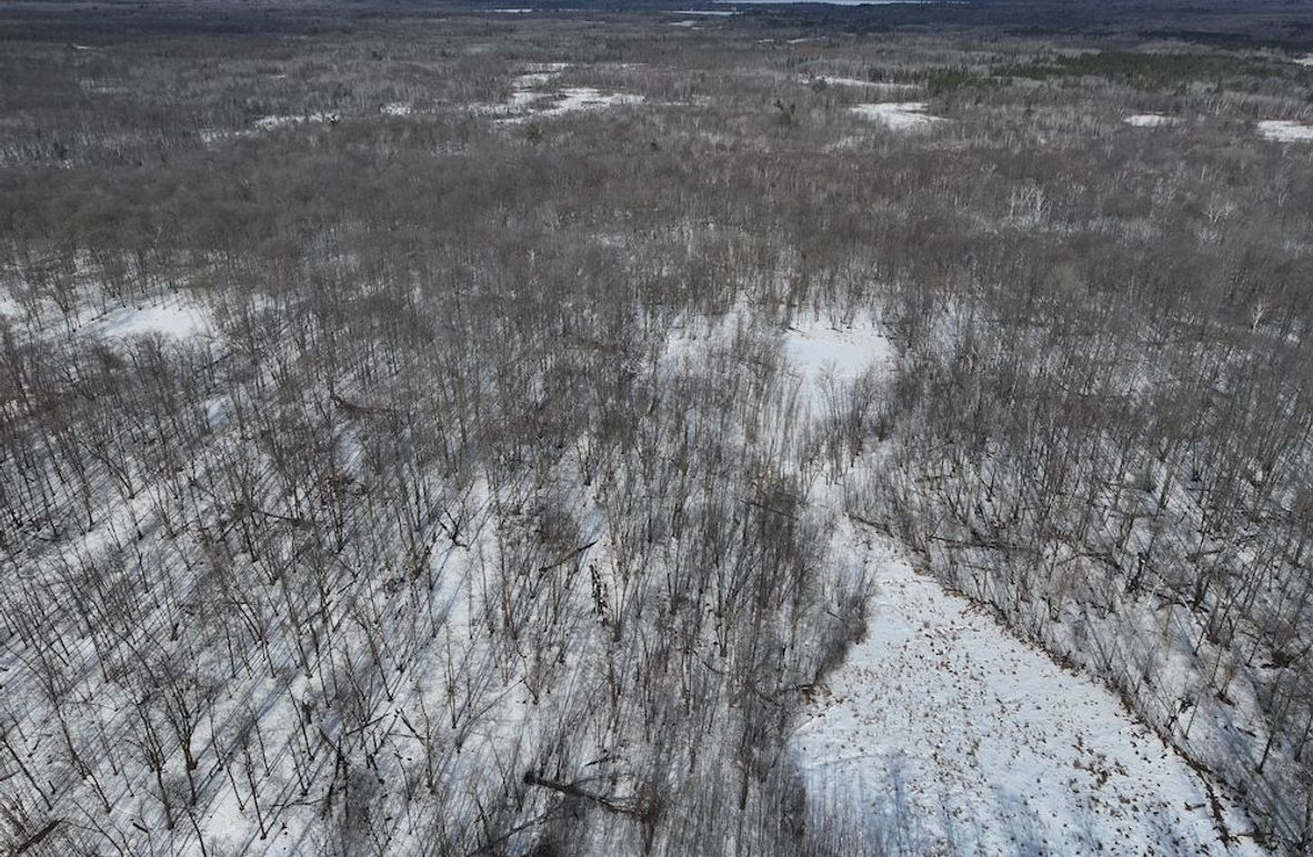 Copy of DJI_20260113153159_0006_D