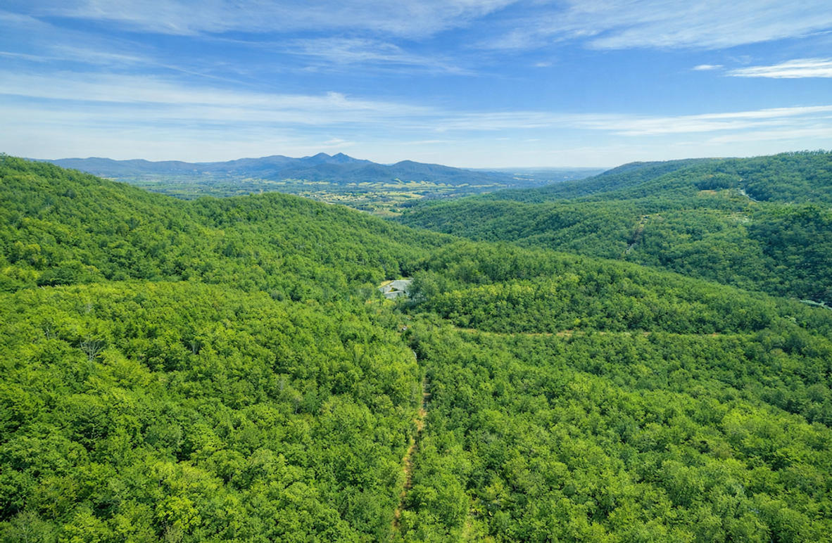 ChatGPT Image Feb 19, 2026, 08_57_51 AM (1)