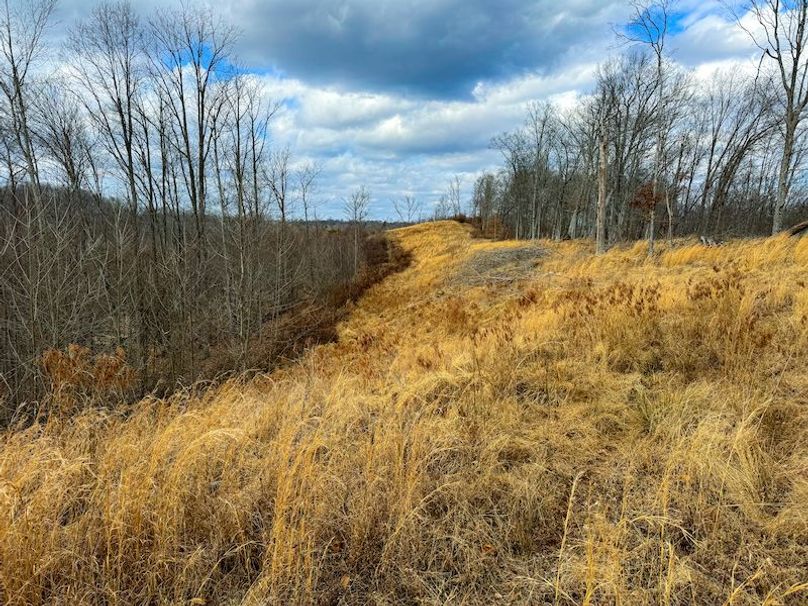 Doddridge, WV 79.08 AC Adams-53