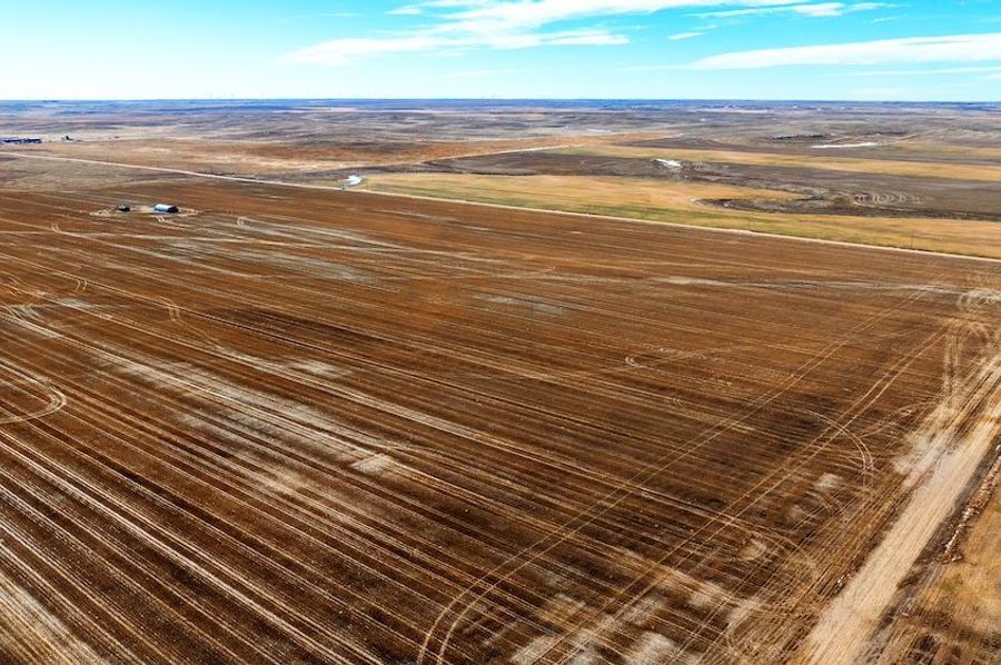 DJI_20250223124333_0174_D-HDR