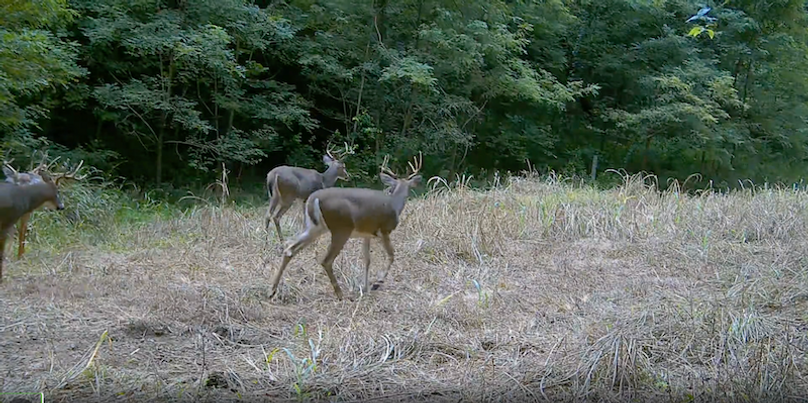 Screenshot 2025-09-24 at 2.52.41 PM