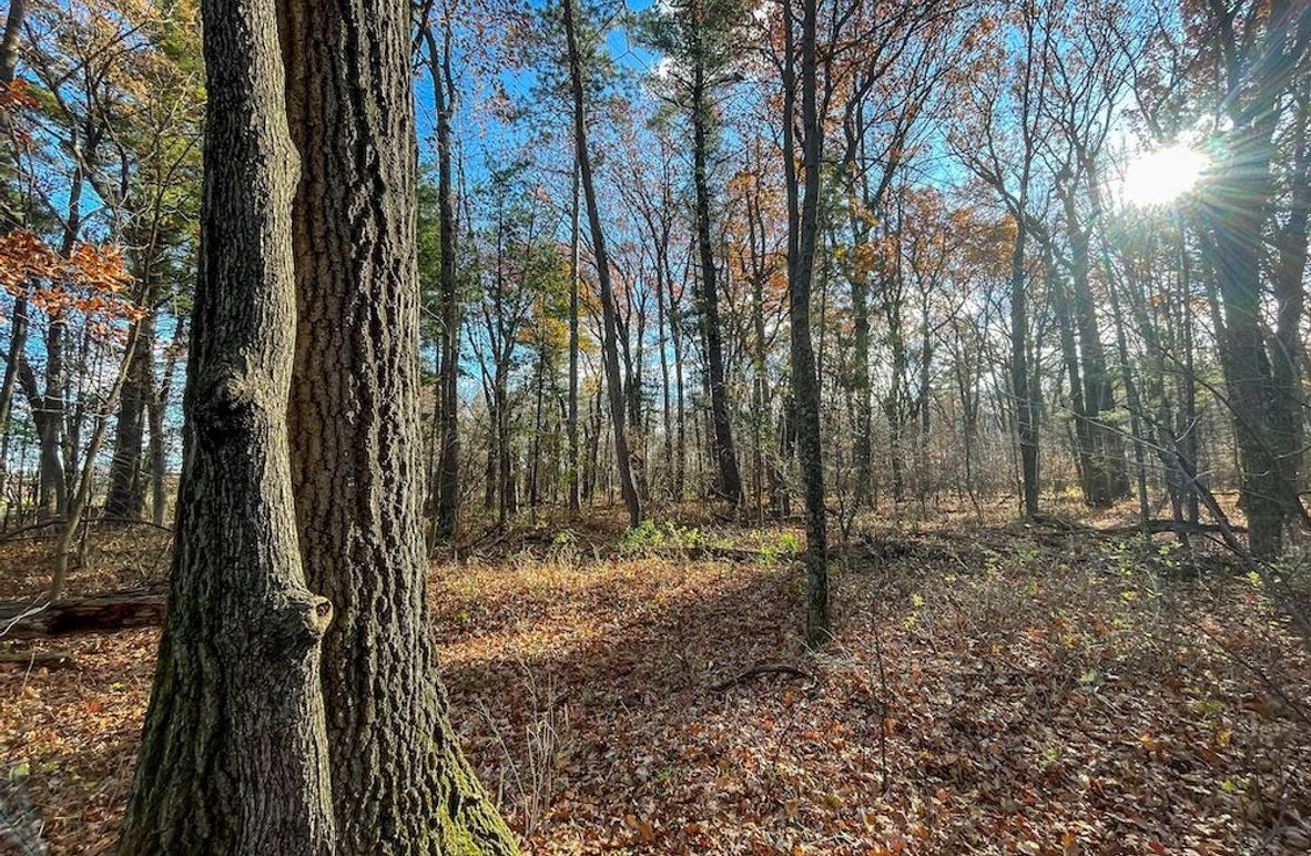 Portage 150.81 JMJK Prop-04