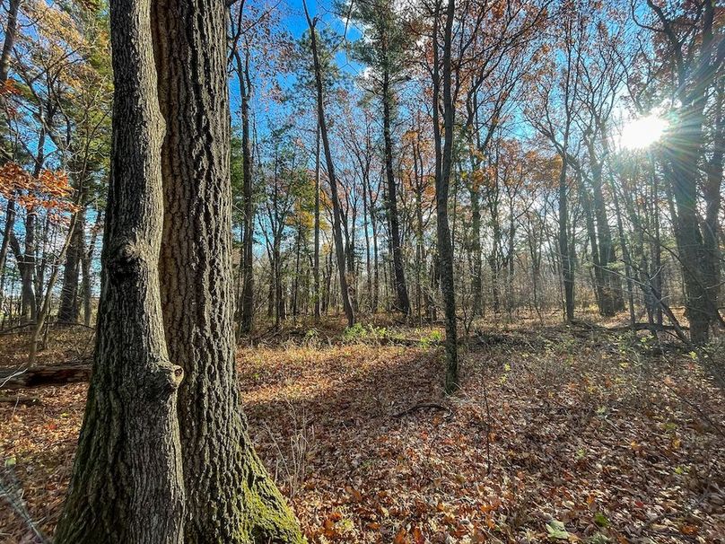 Portage 150.81 JMJK Prop-04