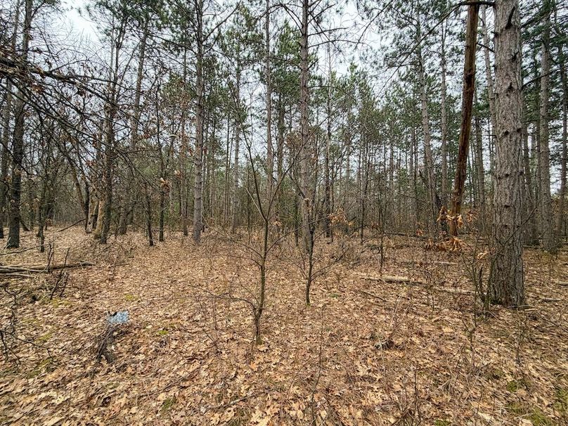 Juneau 1.53 Northgate-11