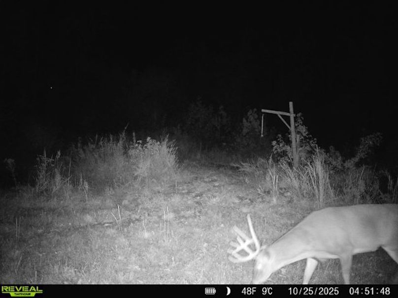 860516067719439-70-4-10252025045148-W1016653