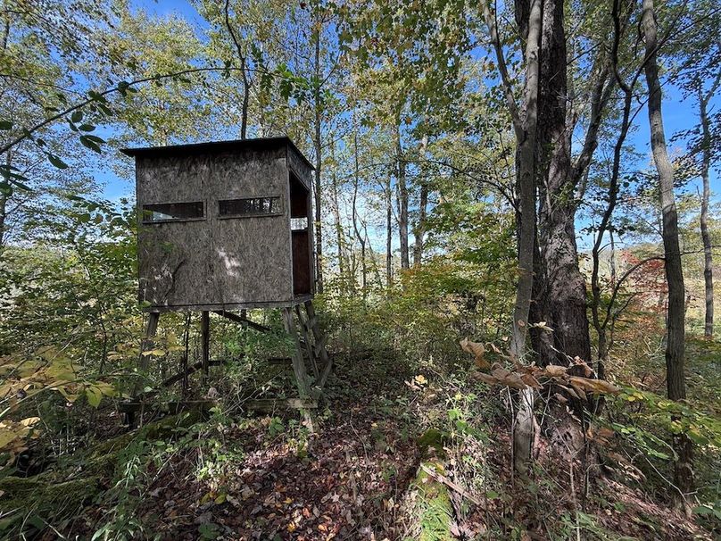 Cayuga_55.02_Herman Photo 37