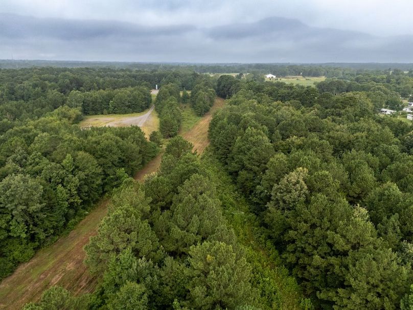 9 Panola Co. 40ac - Rouse-44