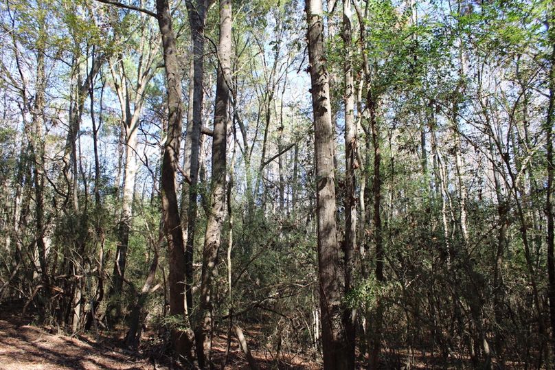 33D62404-B823-43B7-8867-1971019CD24C_1_105_c