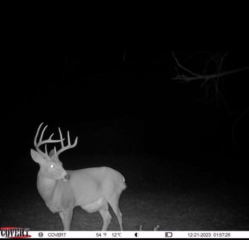 Screenshot_20231221_070955_CovertWireless