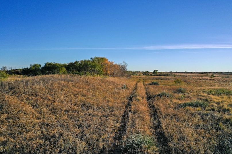 org_0737a5abbbbc08d2_1762731896000