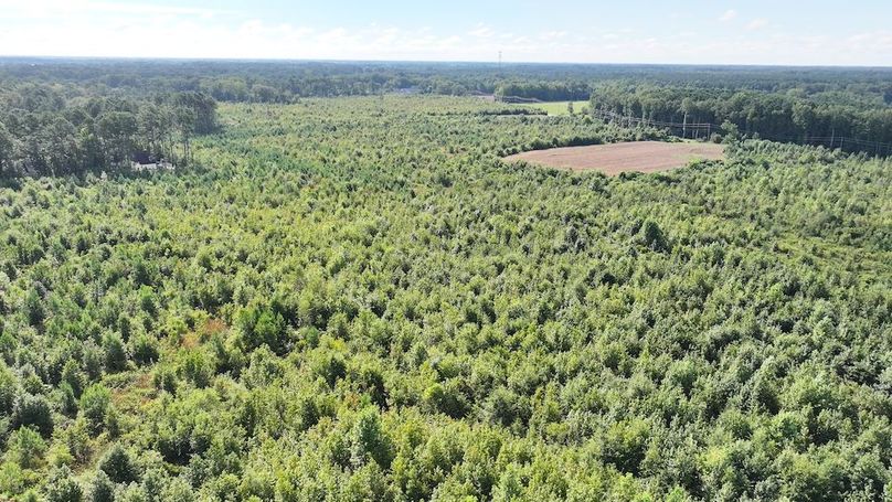 DJI_20250821015729_0250_D