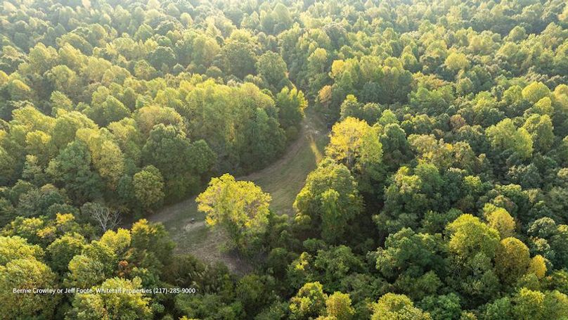 Tallahatchie 847 Messina-85
