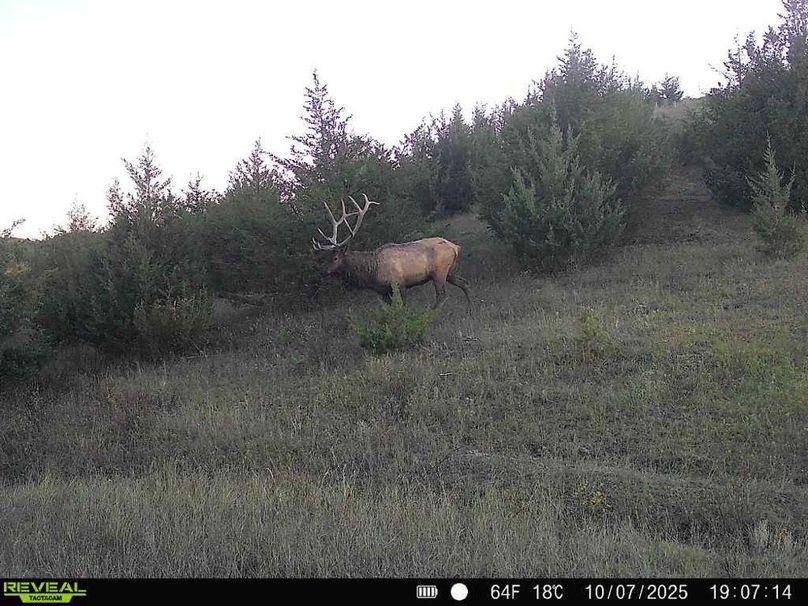 Copy of 860516067863955-100-2-10072025190714-W1008201