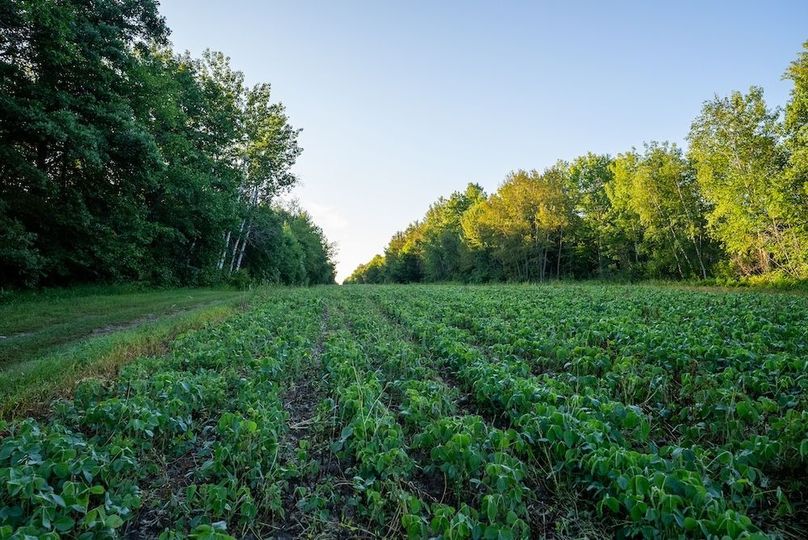 Cass MN 1095 Featured ProPhoto-20