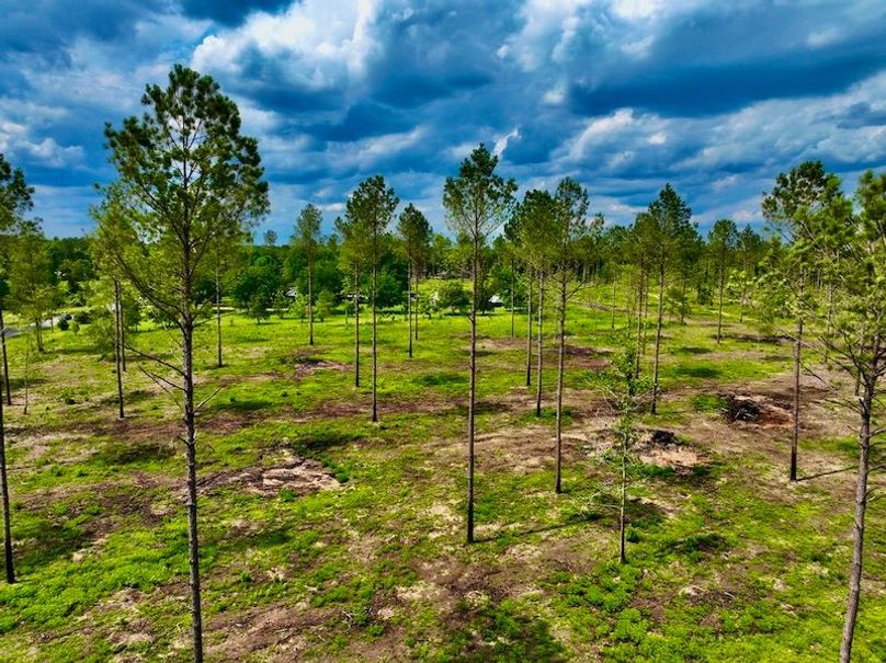 F77E5EC4-52A1-4E0E-BC62-8EFC4309CA70_1_105_c