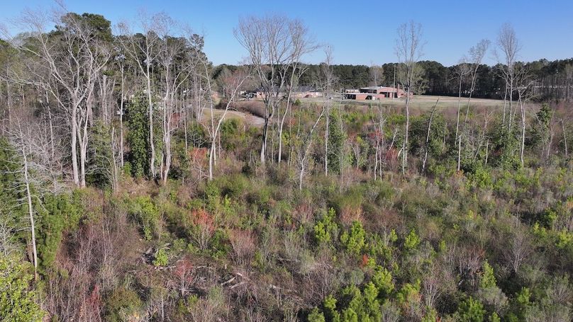 DJI_20240321173549_0065_D