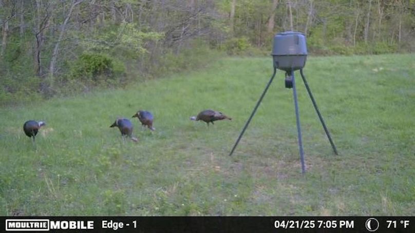 Temp_2017838-20250422000552-100MFCAM_MFDC1971