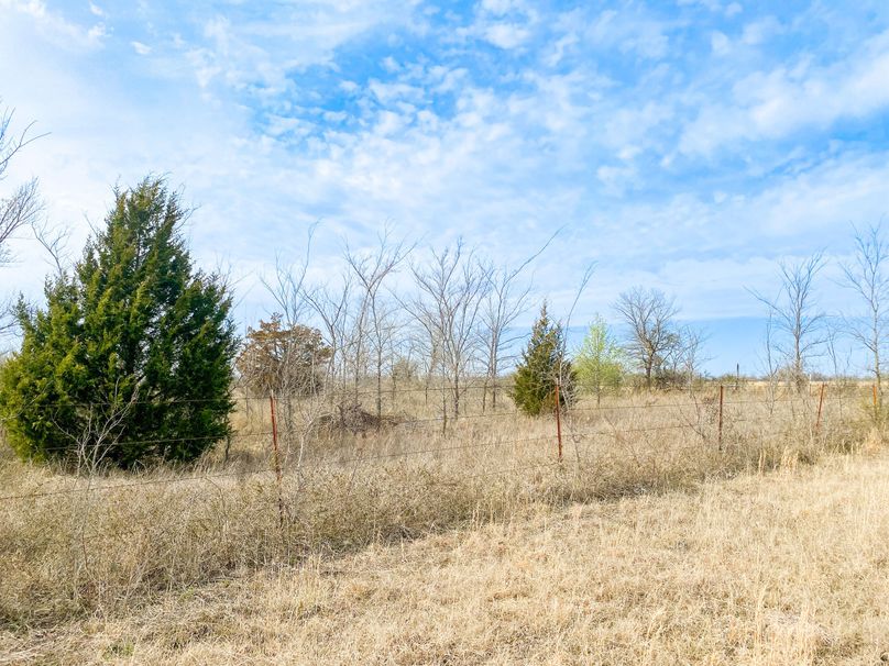 Wagoner13.37Lackeypic7