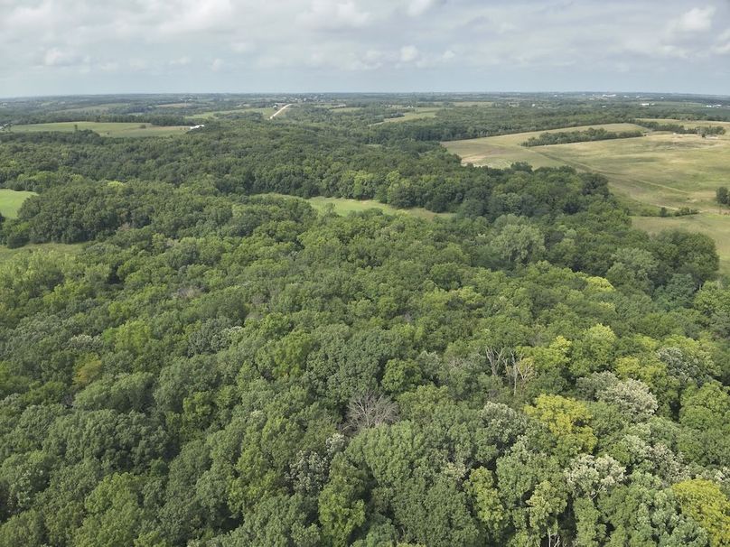 DJI_20240815153259_0004_V