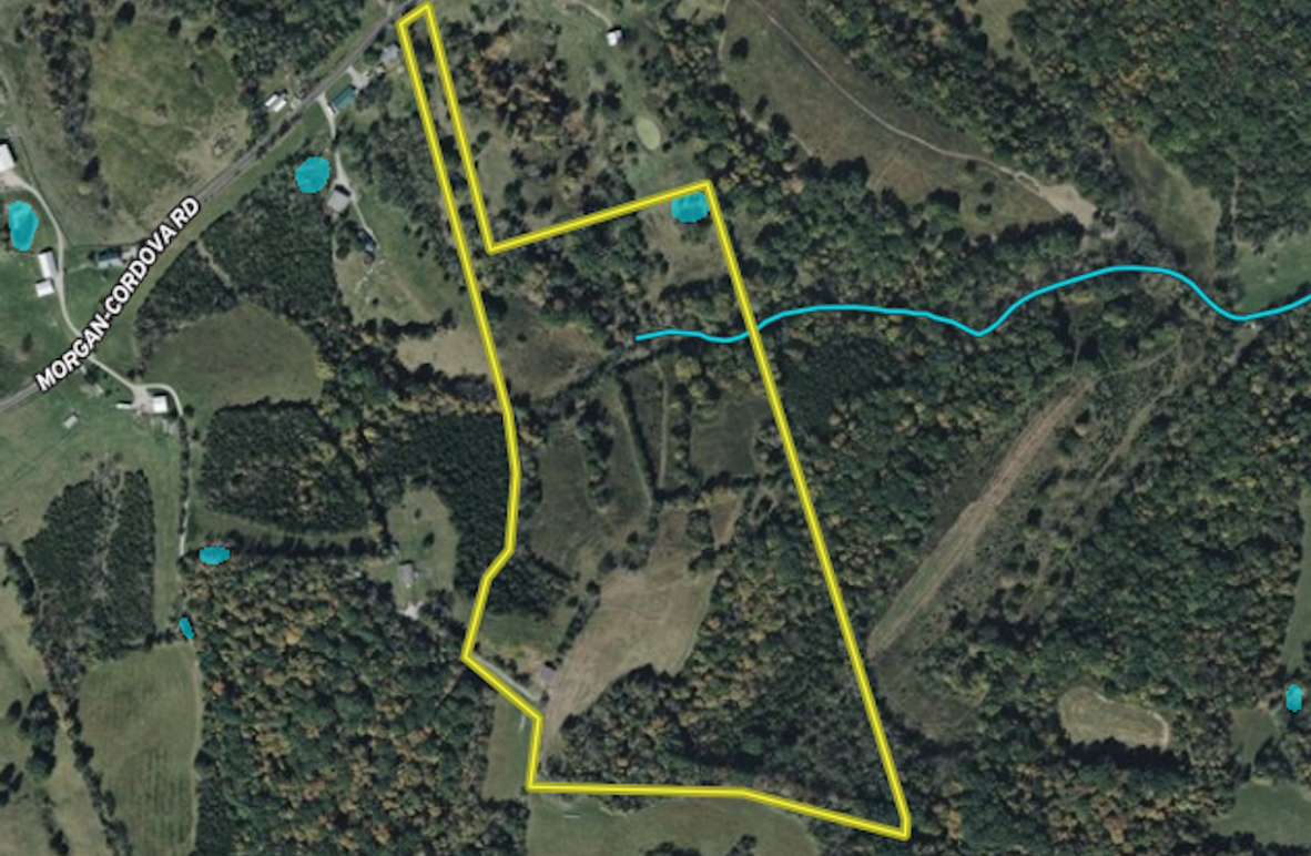 Screenshot 2025-04-02 at 10.02.50 AM