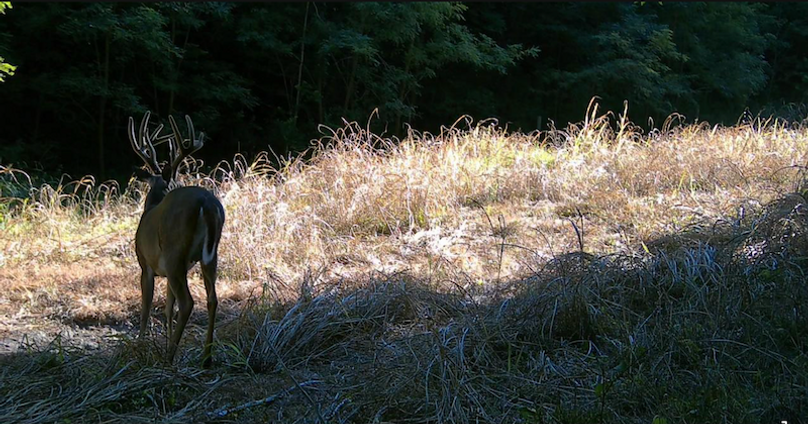 Screenshot 2025-09-24 at 3.06.04 PM