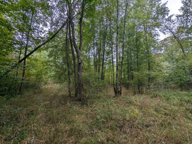 PXL_20230925_222708674