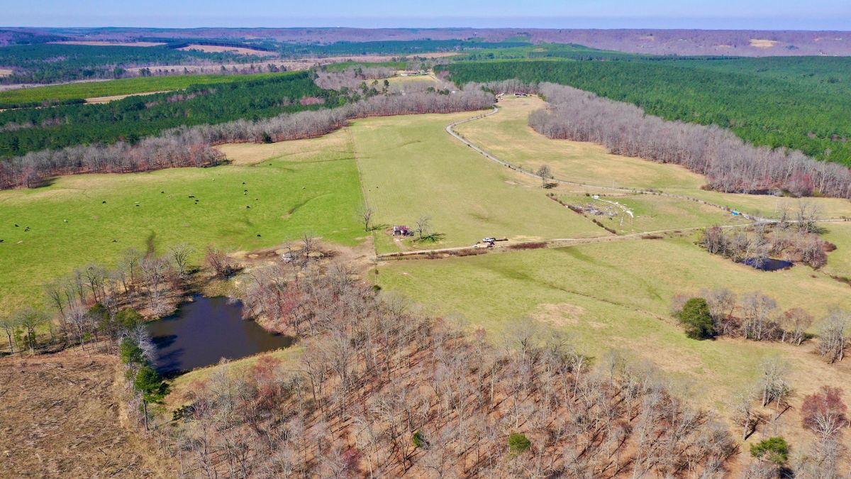 Beautiful Farm With Pasture, Timber & Water In East TN Whitetail