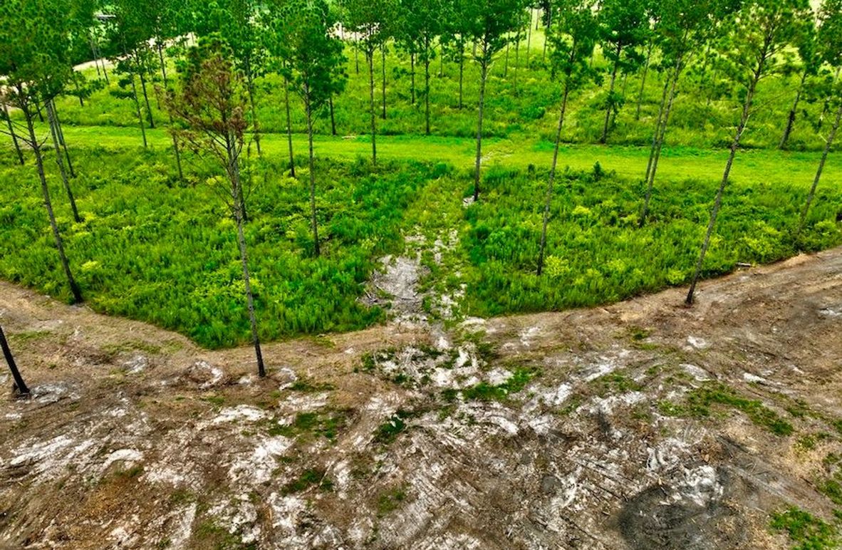 3E308382-8B4F-4AE0-924F-719588E075E9_1_105_c