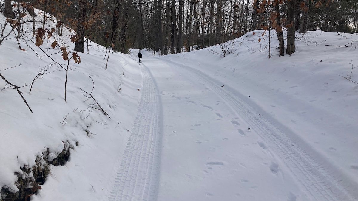 Frontage On The Little Ossipee River Whitetail Properties