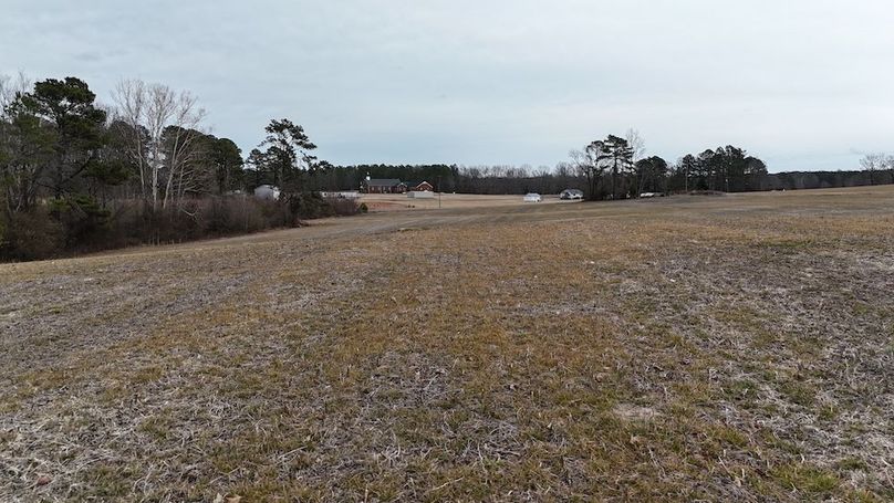 dji_fly_20260218_164554_0033_1771452055725_photo