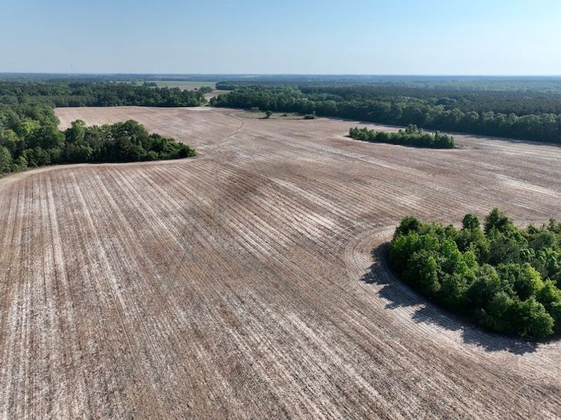 dji_fly_20260424_094036_550_1777039448203_photo