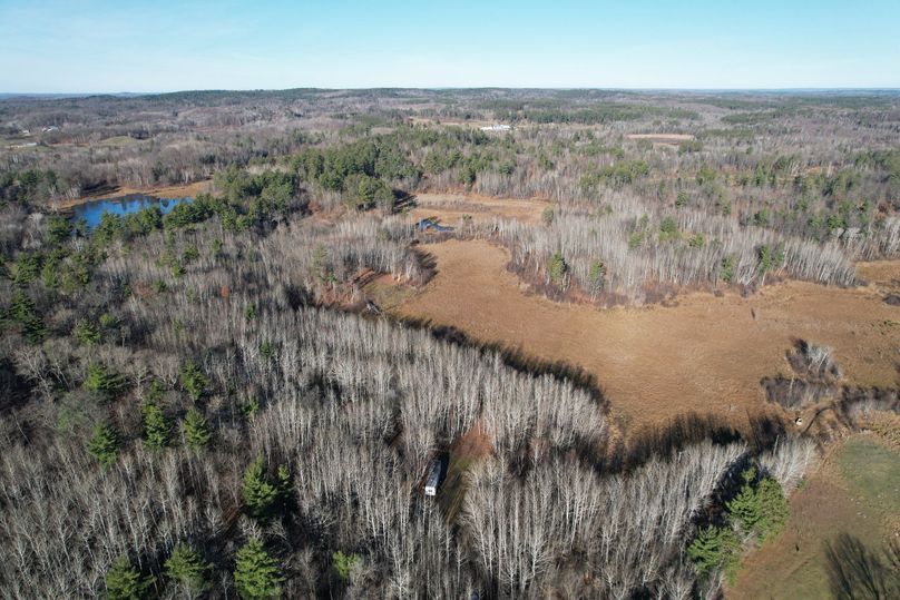 dji_fly_20231113_100344_275_1699891993031_photo