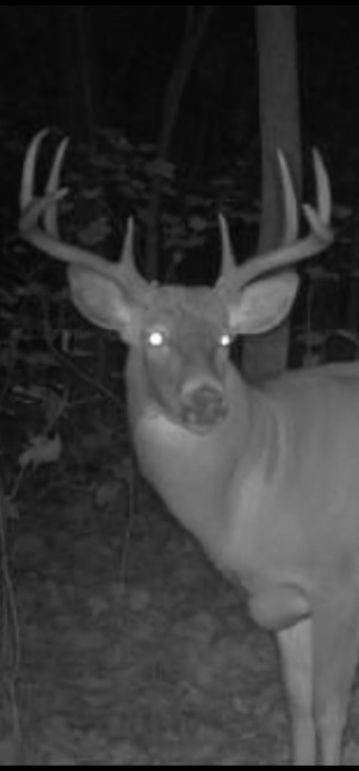 Screenshot_20231016_145944_Gallery