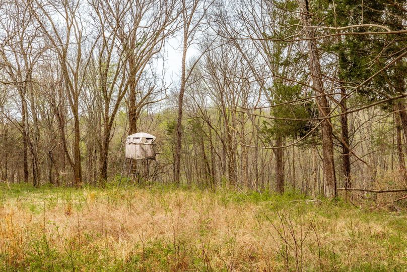 32-web-or-mls-Wolf Hill-10